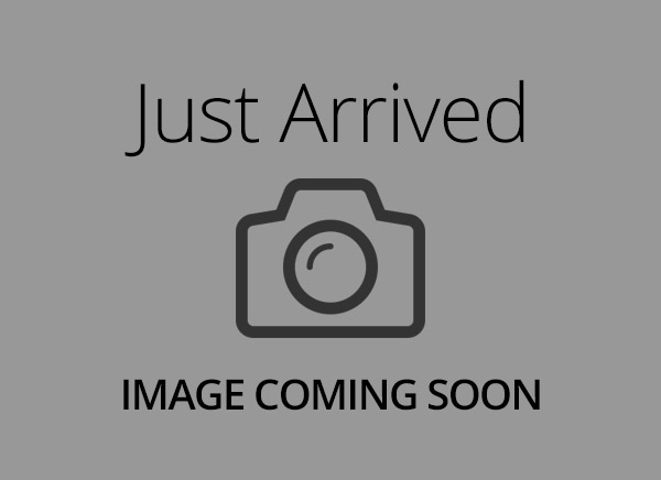 Basset Hound – 5572